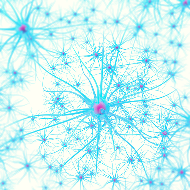 脳神経細胞のイメージ