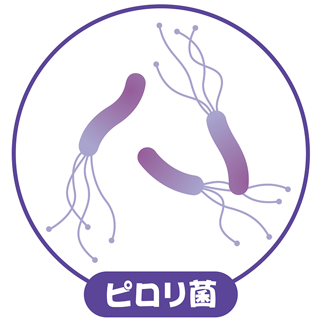 ピロリ菌のイメージ